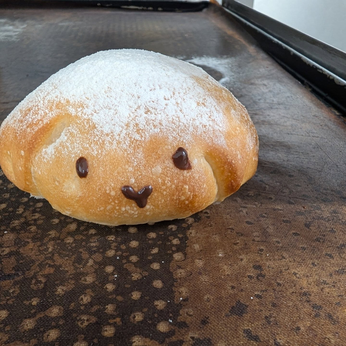 画像1133