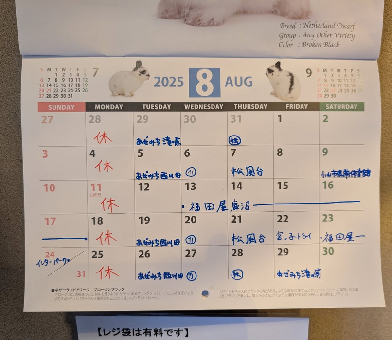 画像1300