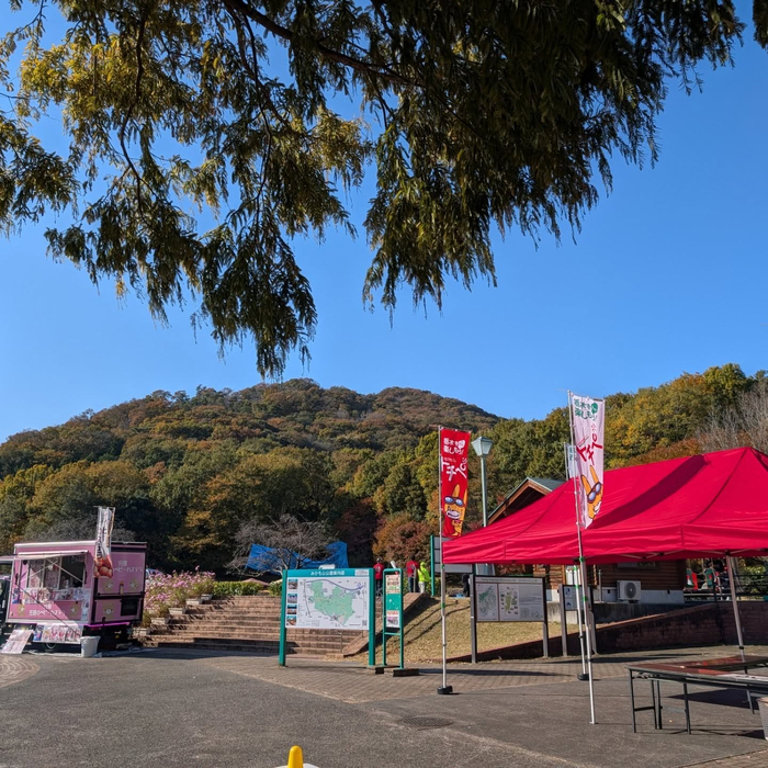 画像1639
