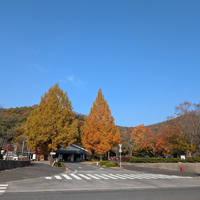 画像1641