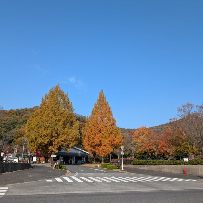 画像1641