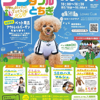 画像2145
