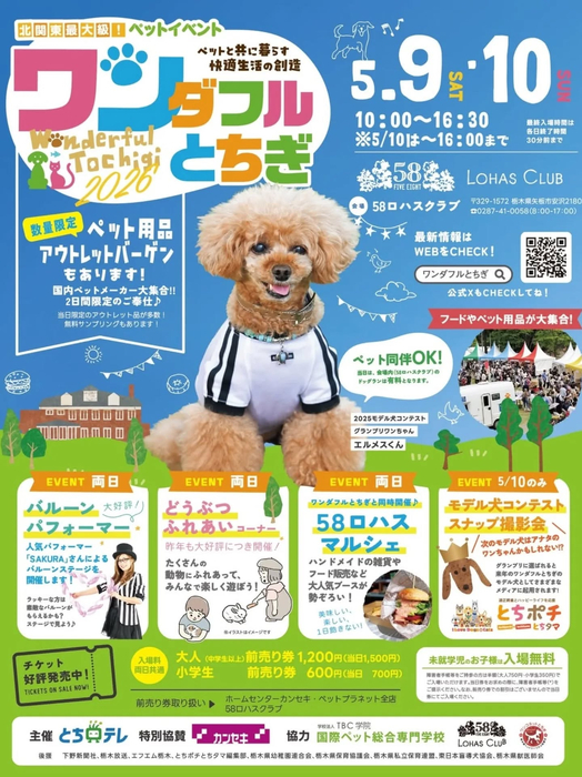 画像2145