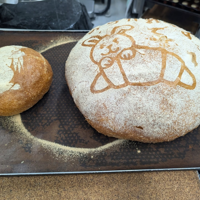 画像2189