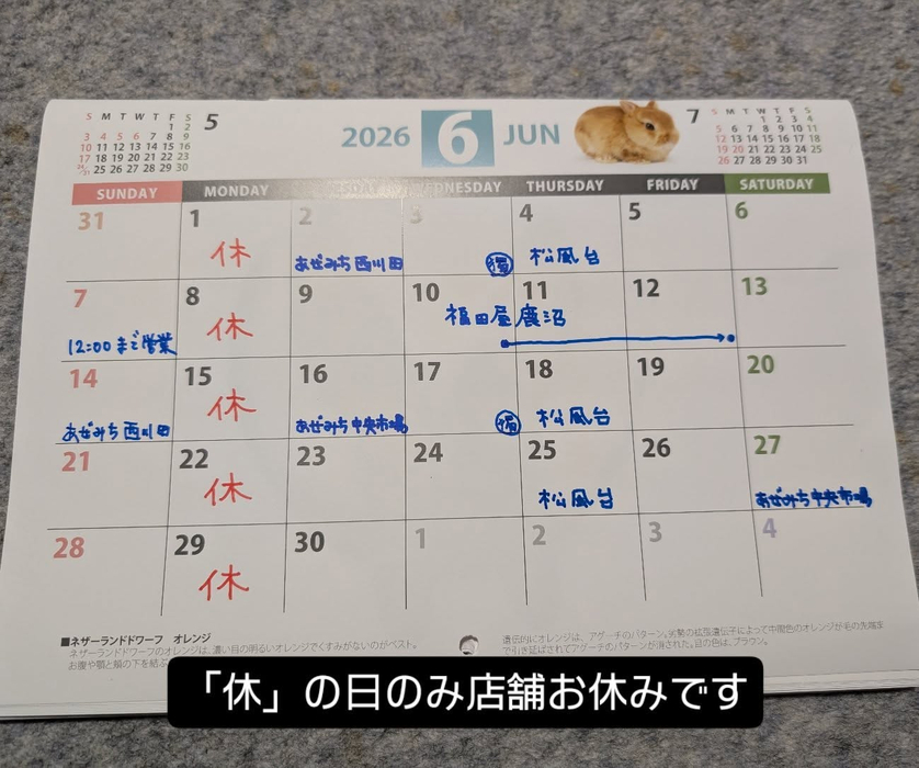 画像2209