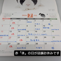 画像2288