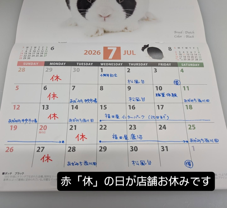画像2288