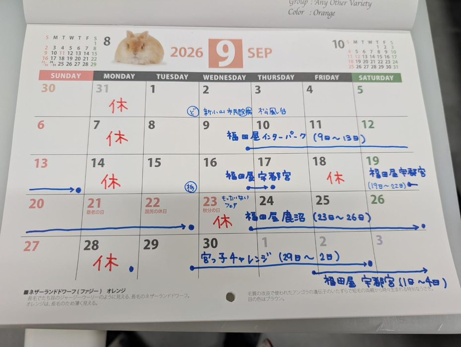 画像2446