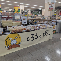 画像2493