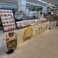 画像2517