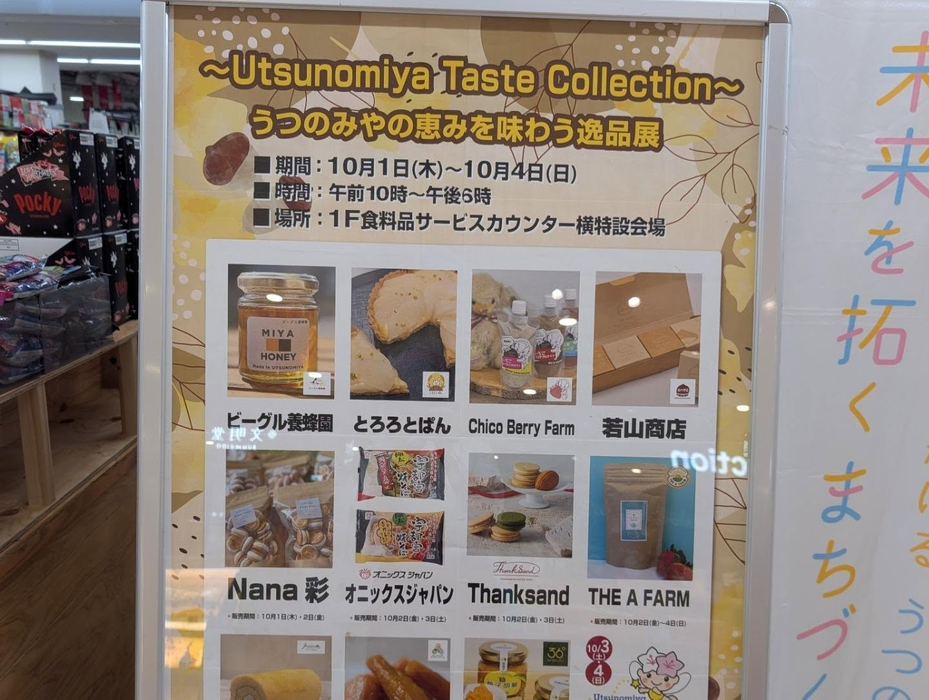 画像2564