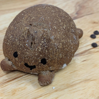 画像2579