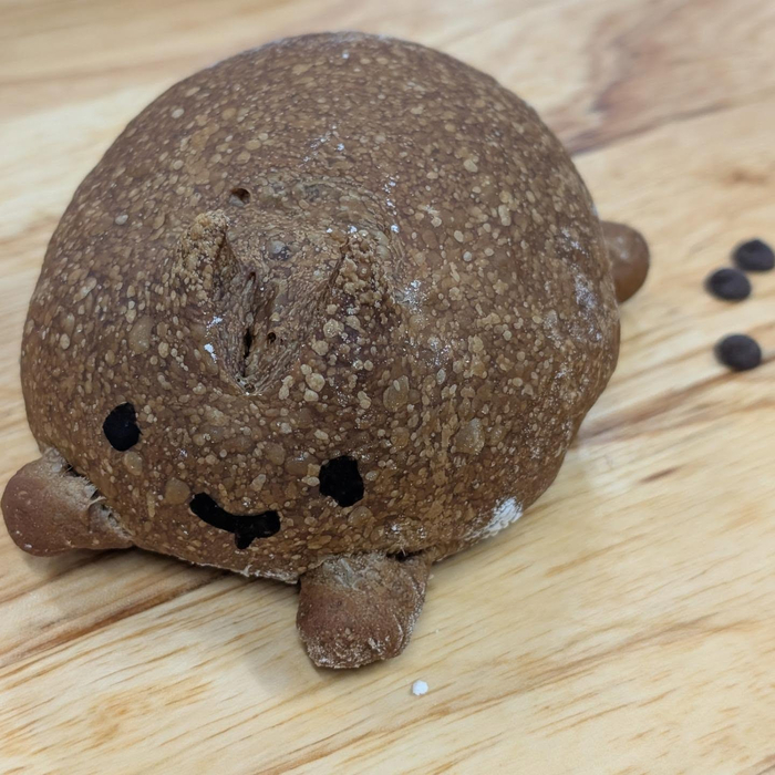 画像2579