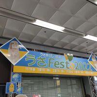 画像264