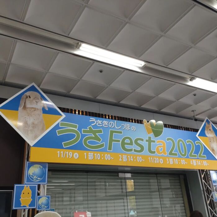 画像264