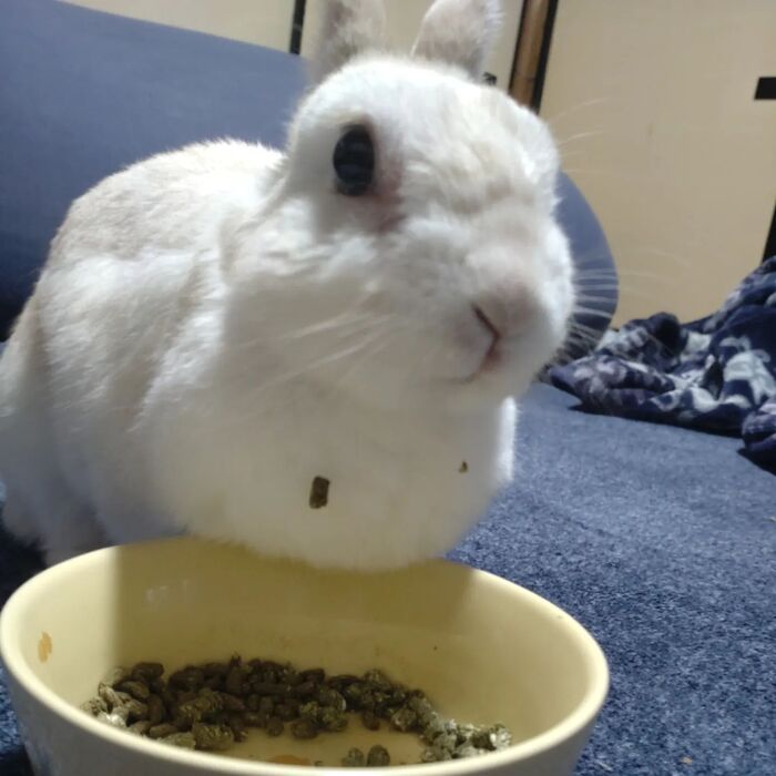 画像299
