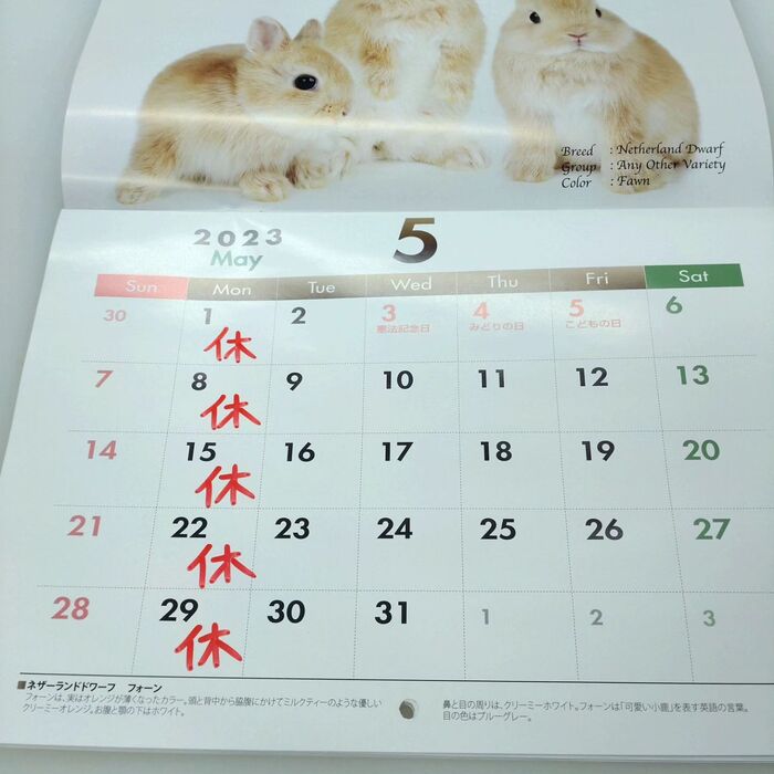 画像412
