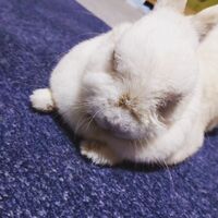 画像481