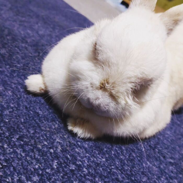 画像481