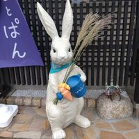 画像529