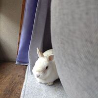 画像547