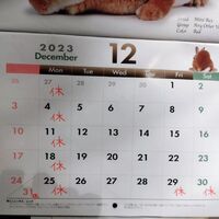 画像585