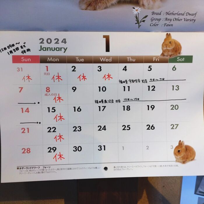 画像604