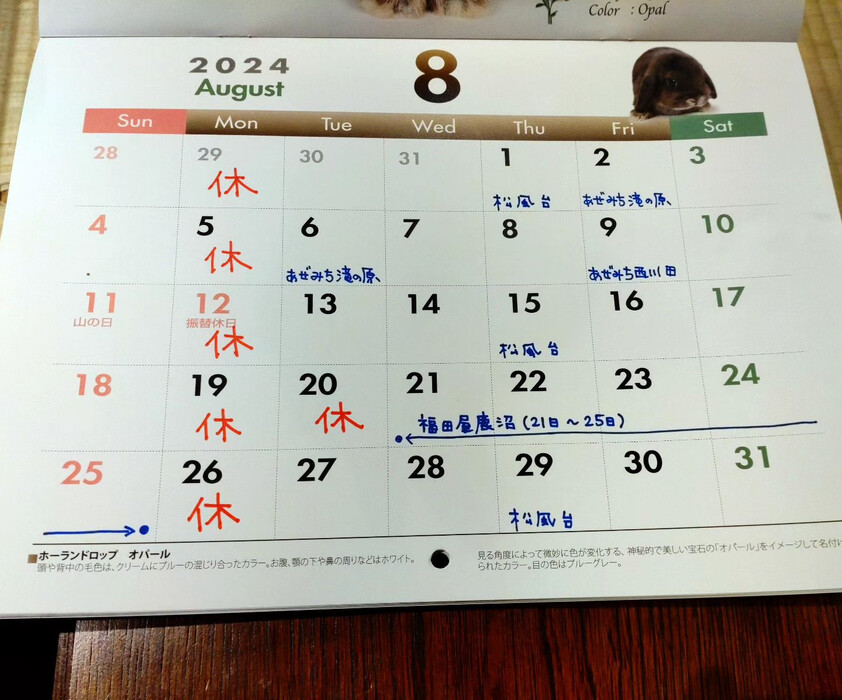 画像696