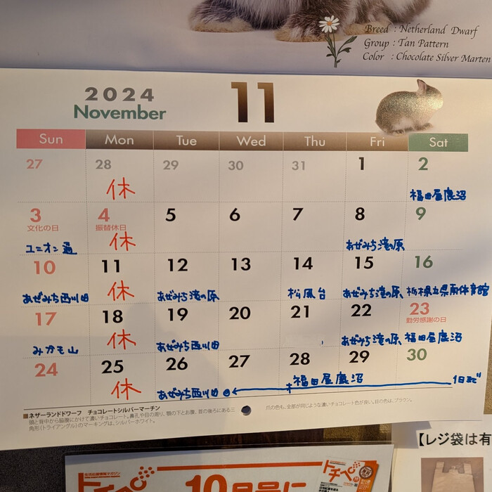 画像811